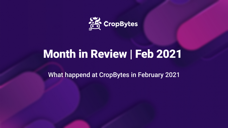 Month in Review | Feb 2021