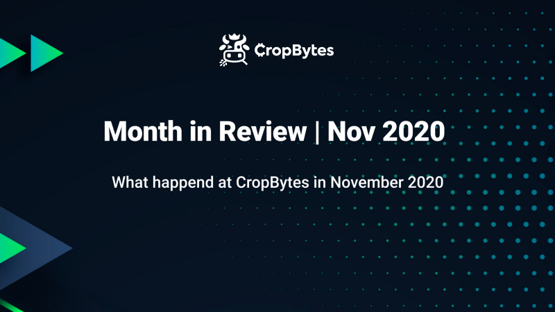 Month in Review | Nov 2020