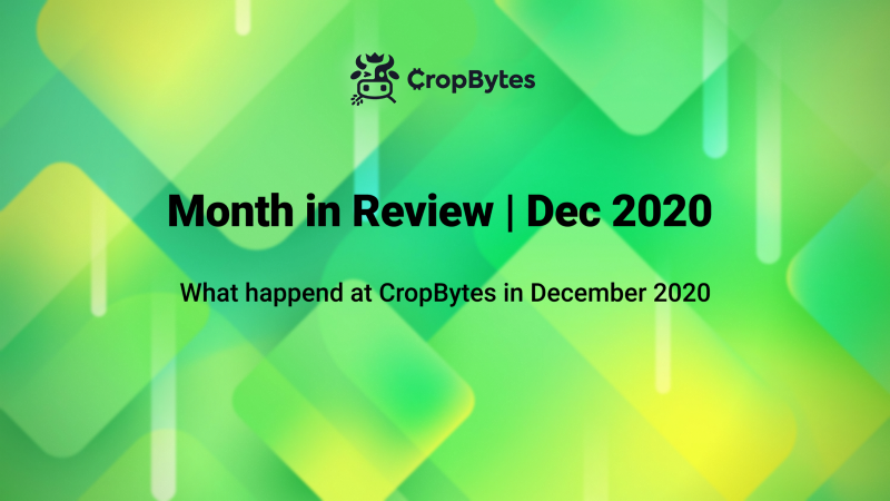 Month in Review | Dec 2020