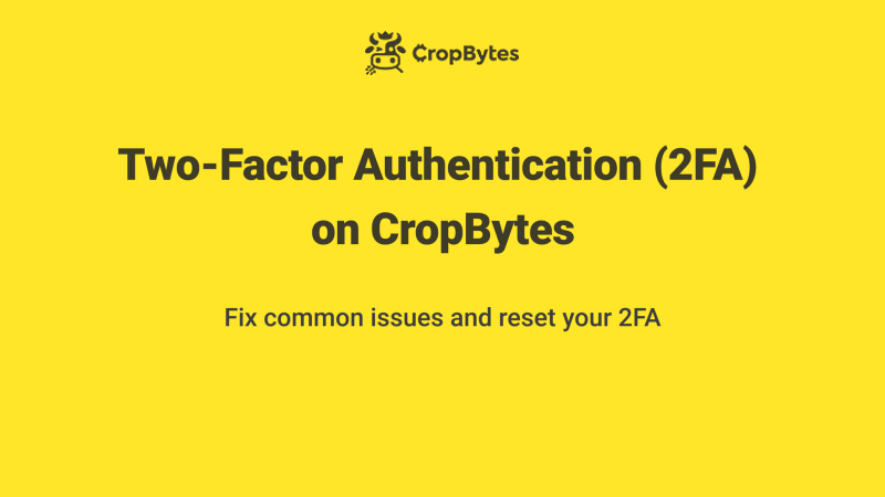 Fix common issues with 2-Step verification on CropBytes